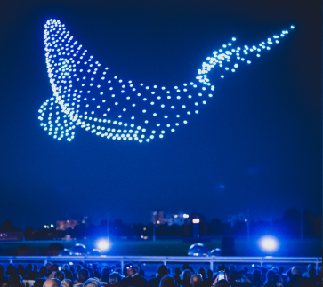 Spectacle de drones dans toute la France en 2026 Figure Baleine - Magic Drone Show
